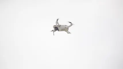 Vortex Kasyno Aplikacja mobilna